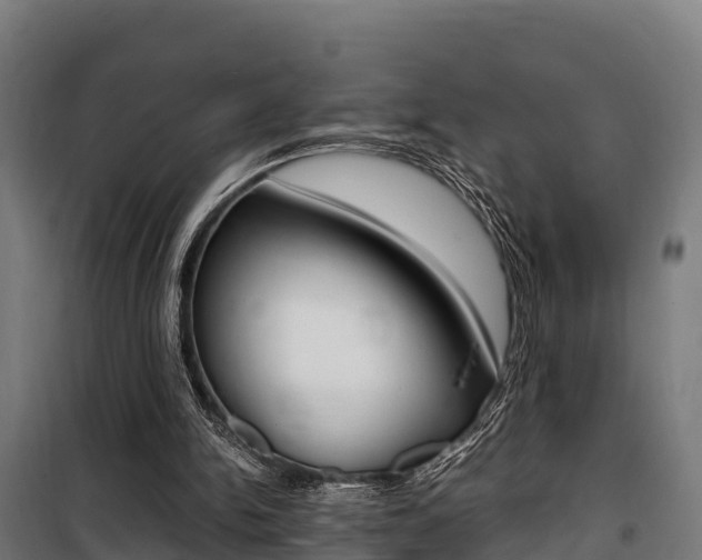 X0000100850150200806200810