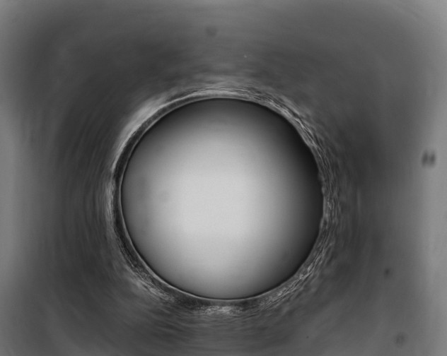 X0000100850152200806200810