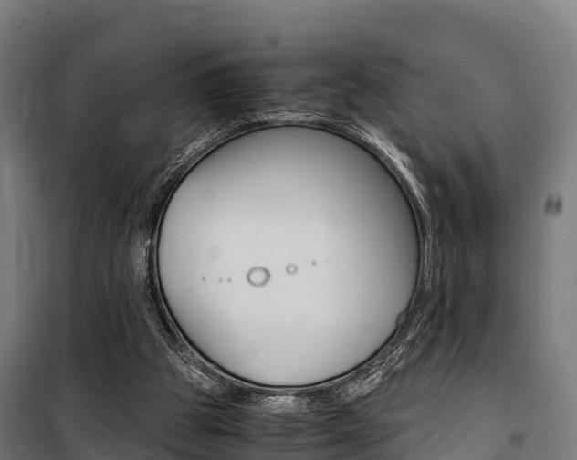 X0000100850153200806200810