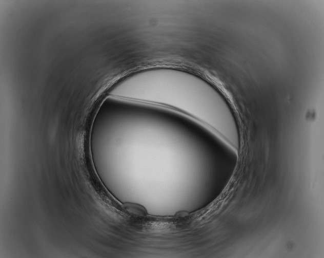 X0000100850154200806200810