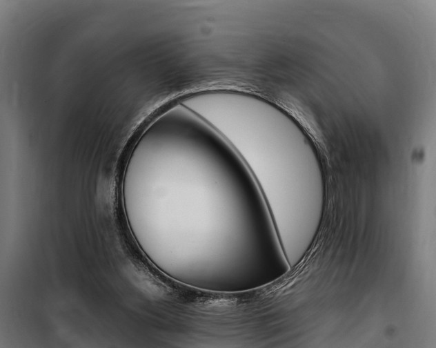 X0000100850156200806200810