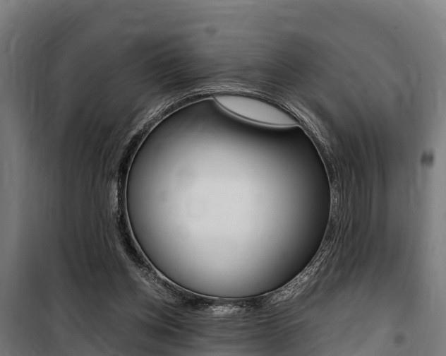 X0000100850158200806200810
