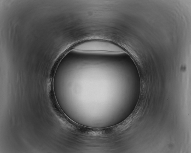 X0000100850160200806200810