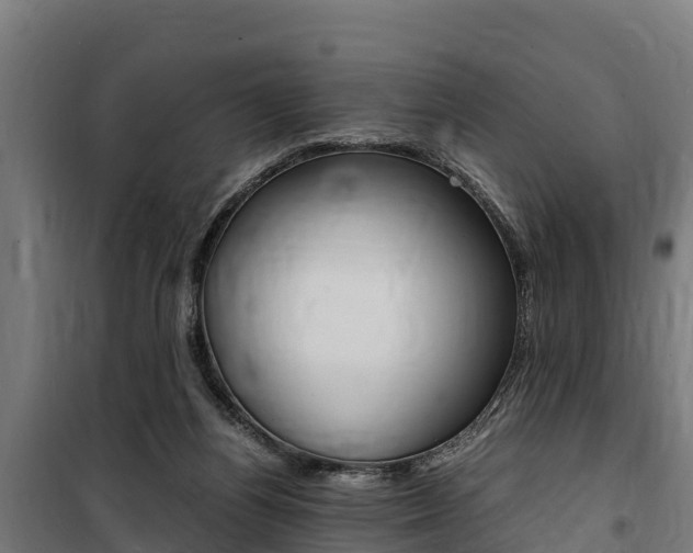 X0000100850164200806200810