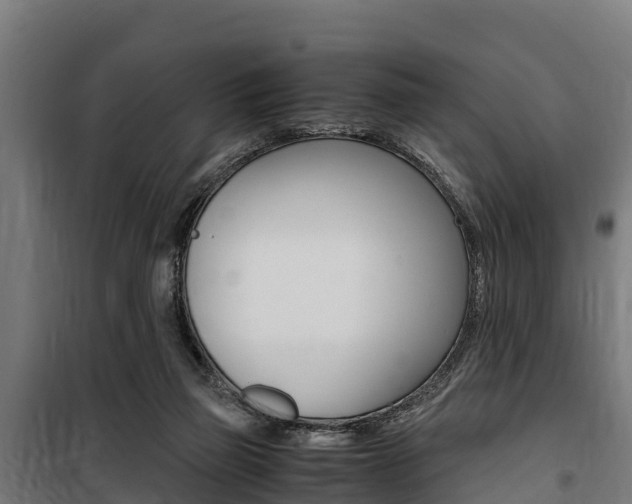 X0000100850165200806200810