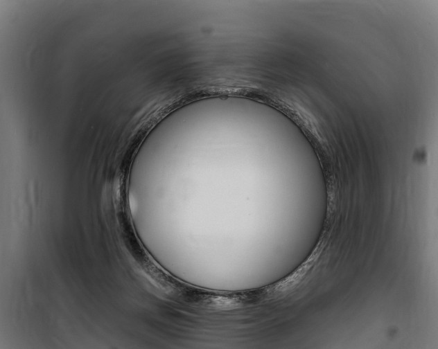 X0000100850166200806200810