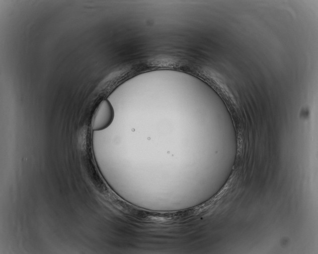 X0000100850167200806200810