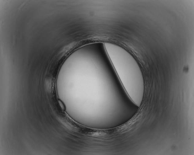 X0000100850168200806200810