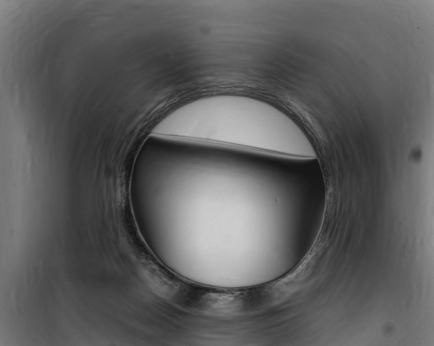 X0000100850170200806200810