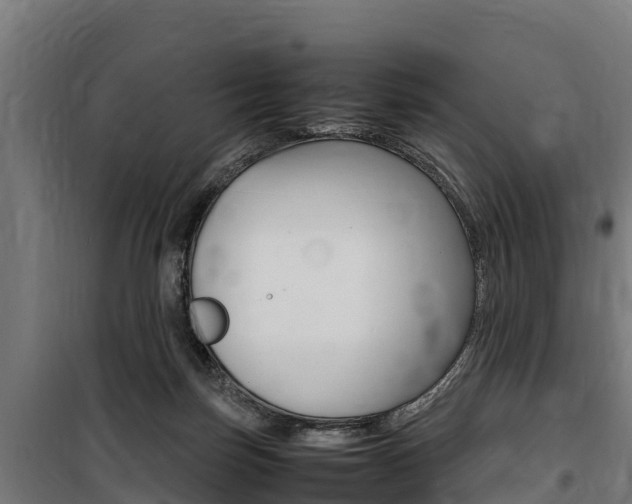 X0000100850171200806200810