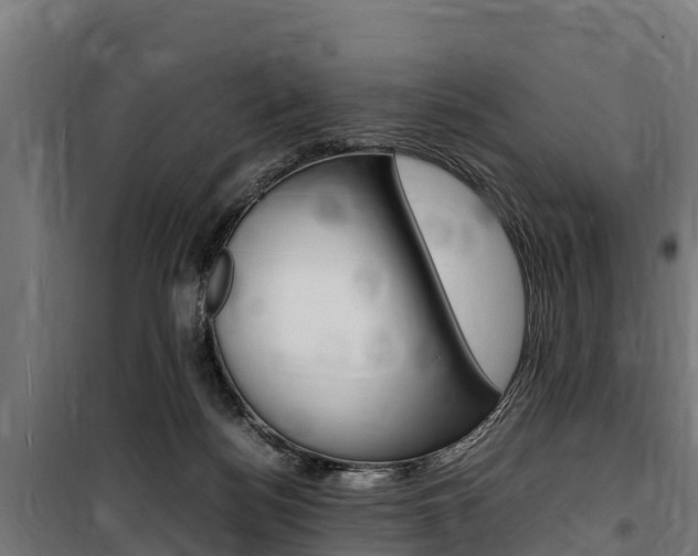 X0000100850172200806200810