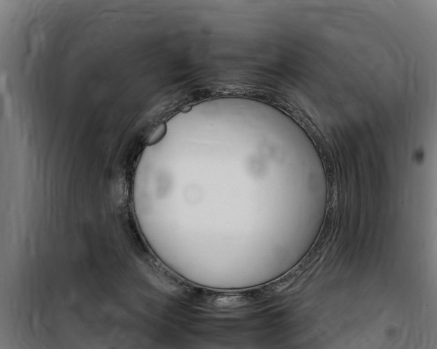 X0000100850173200806200810