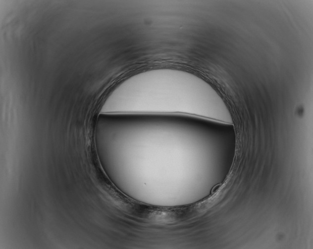 X0000100850174200806200810
