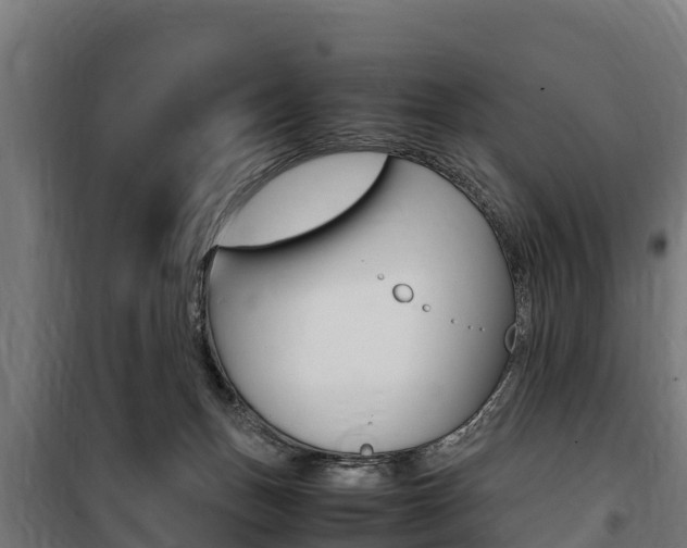 X0000100850175200806200810