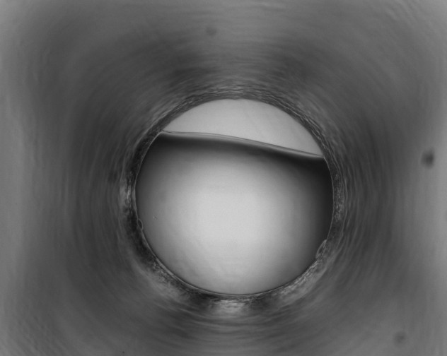 X0000100850176200806200810