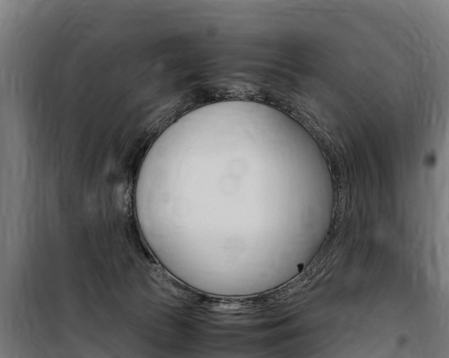 X0000100850177200806200810