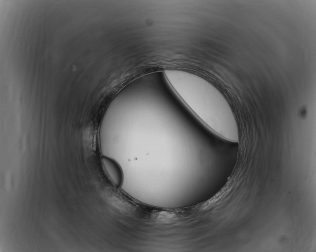 X0000100850180200806200810