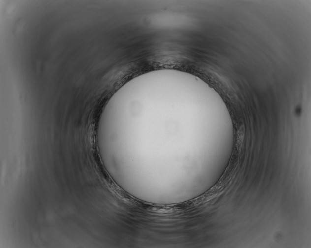 X0000100850181200806200810