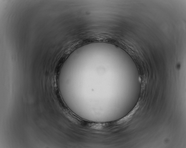 X0000100850182200806200810