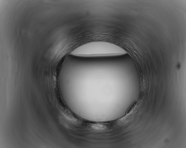 X0000100850183200806200810