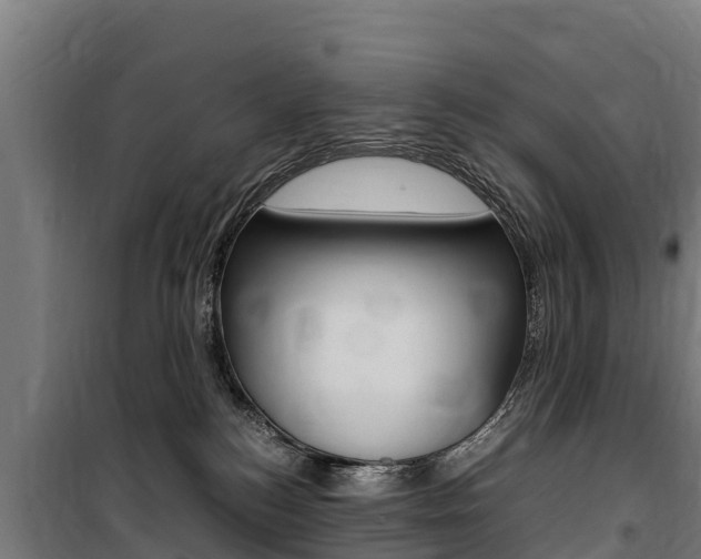 X0000100850184200806200810