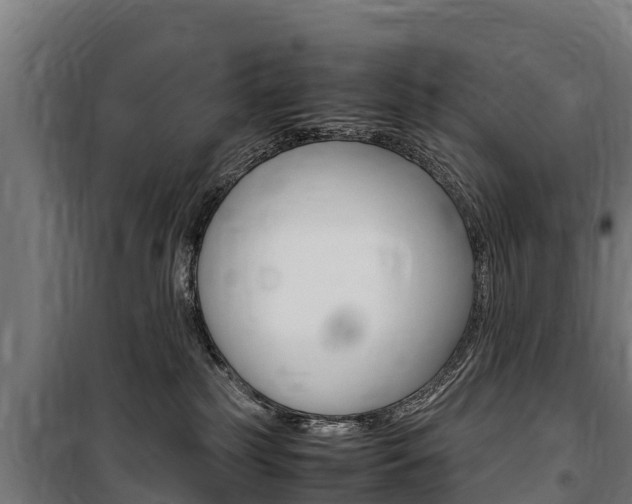 X0000100850185200806200810