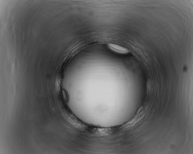 X0000100850188200806200811