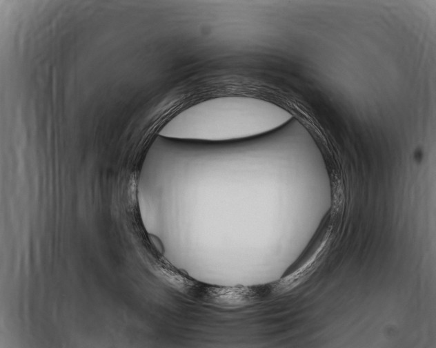 X0000100850191200806200811