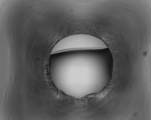 X0000100850192200806200811
