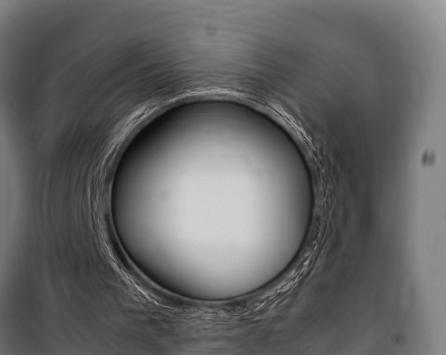 X0000100850193200806200810