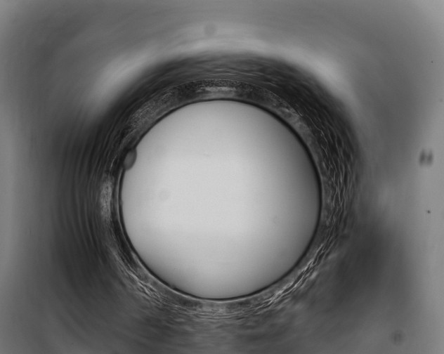 X0000100850194200806200810
