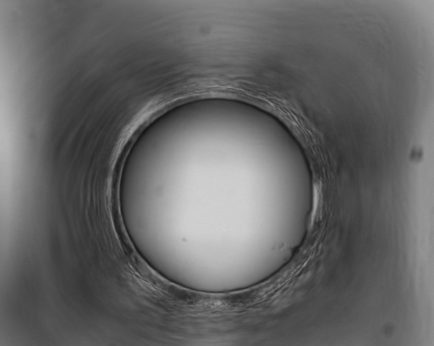 X0000100850195200806200810