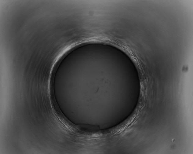 X0000100850196200806200810