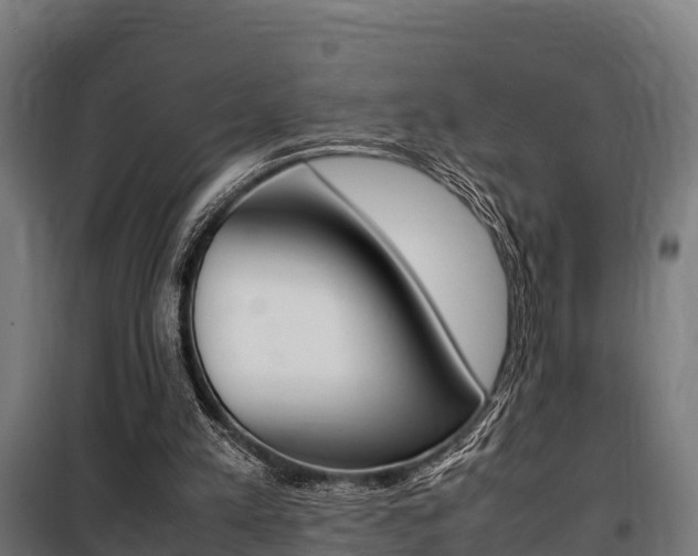 X0000100850197200806200810
