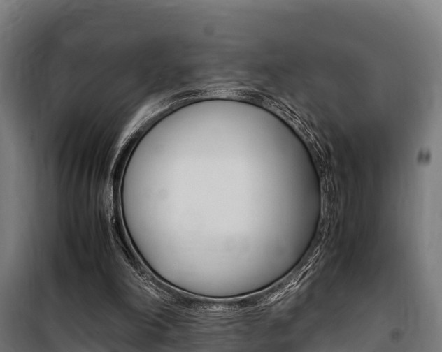 X0000100850198200806200810
