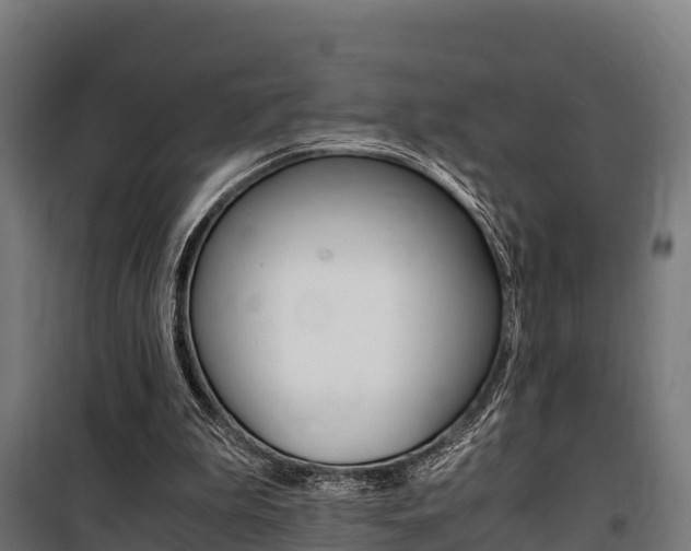 X0000100850199200806200810
