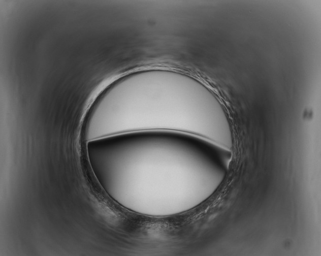 X0000100850200200806200810