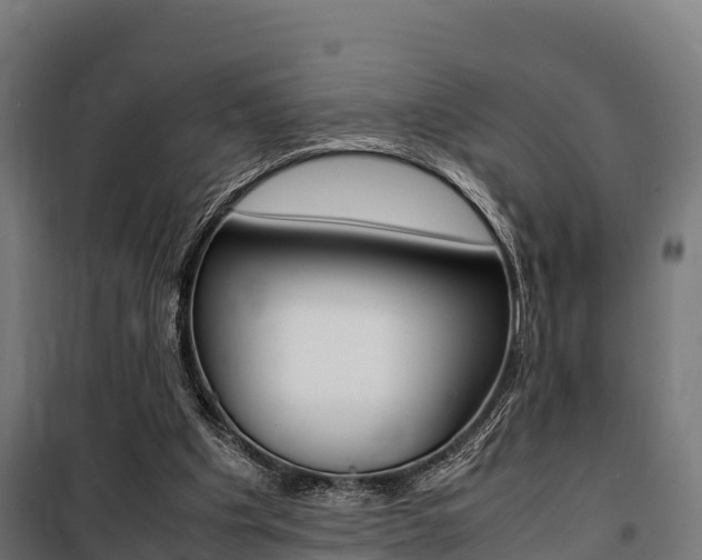 X0000100850201200806200810
