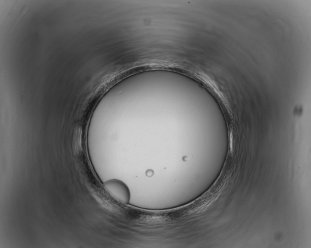X0000100850205200806200810