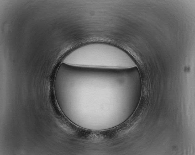 X0000100850207200806200810
