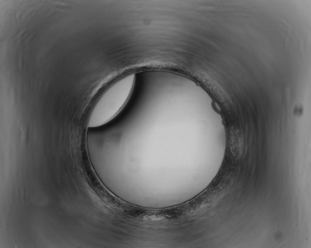 X0000100850208200806200810