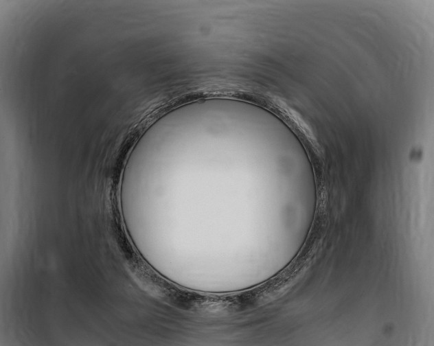 X0000100850209200806200810