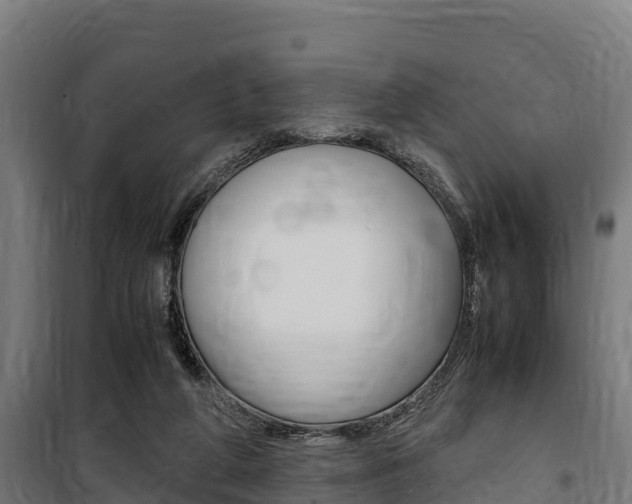 X0000100850210200806200810