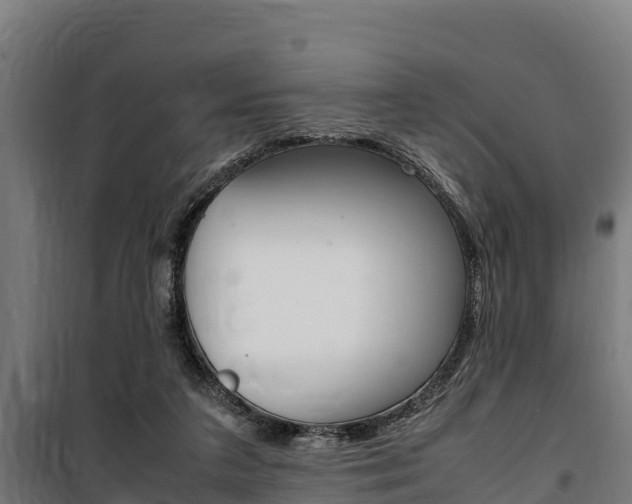 X0000100850211200806200810