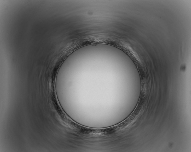 X0000100850213200806200810