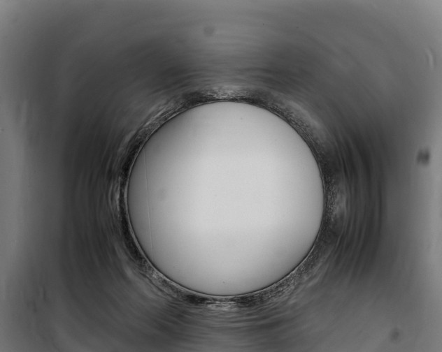 X0000100850214200806200810