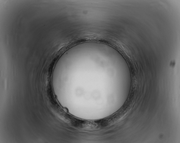 X0000100850215200806200810