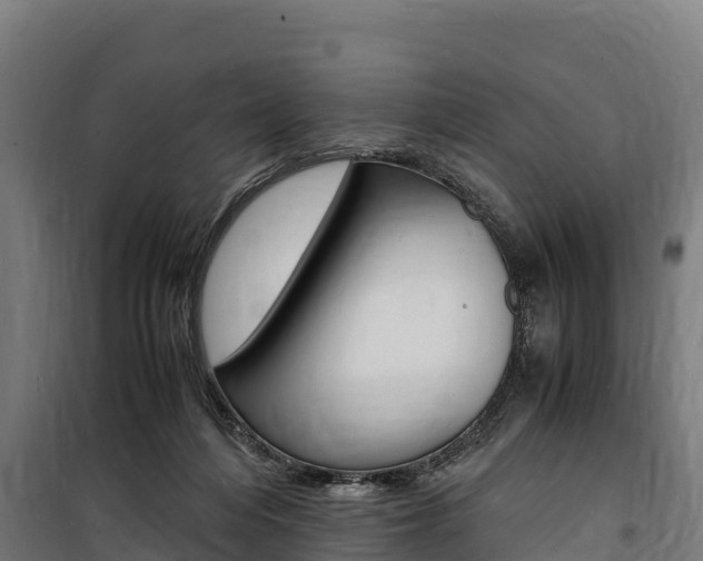 X0000100850216200806200810