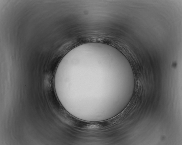 X0000100850218200806200810