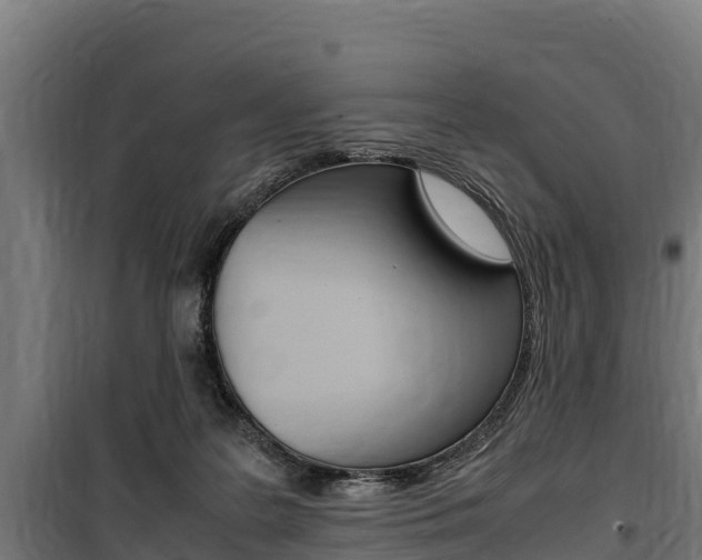 X0000100850219200806200810